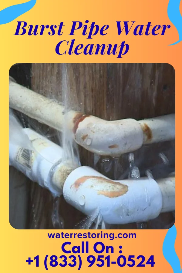 Burst Pipe Water Cleanup in National Park, NJ