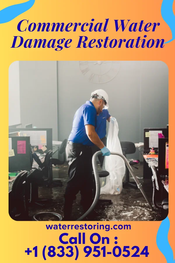 Commercial Water Damage Restoration in National Park, NJ