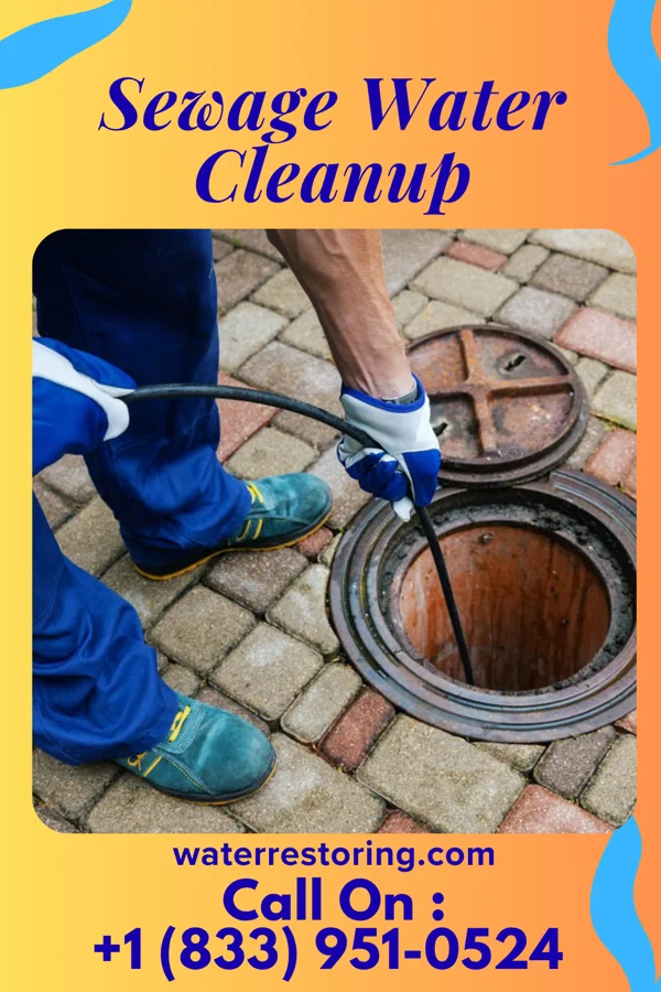 Sewage Water Cleanup in National Park, NJ